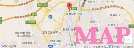 MAP,地図、アンフィニワイズ、infini-ys,長泉町美容院、長泉町美容室、長泉町　美容院、長泉町　美容室、ヘアサロン、長泉町、ウェルディ長泉、トイザらス、トイザらス美容院、トイザらス美容室、ウェルディ美容室、ウェルディ美容院、三島、沼津、裾野、御殿場、清水町