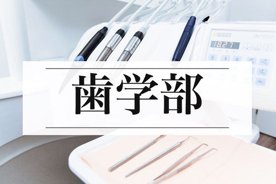 歯学部小論文塾・歯学部志望理由書塾・歯学部面接対策塾