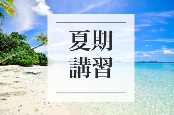 小論文夏期講習塾