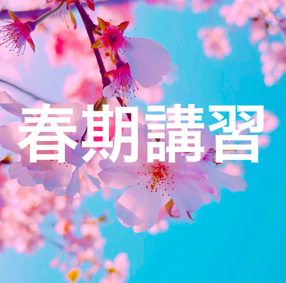 春期講習 小論文 志望理由書 総合型選抜