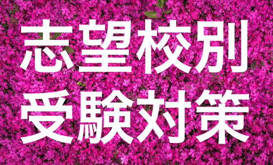 志望校別 受験対策
