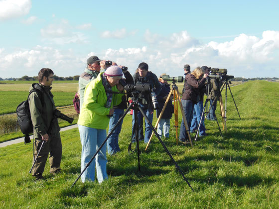 Birdwatchveranstaltung