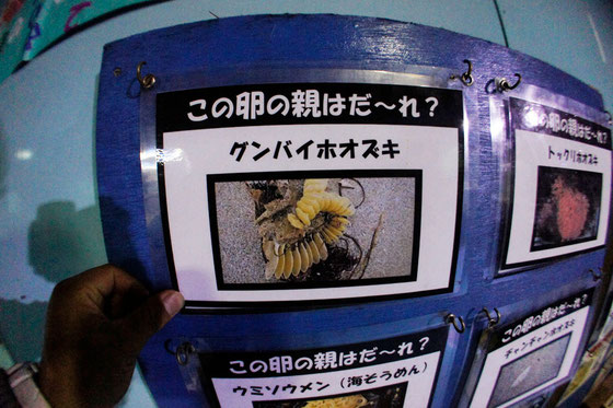 館内のクイズ写真