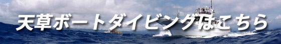 天草ボートダイビングはこちら