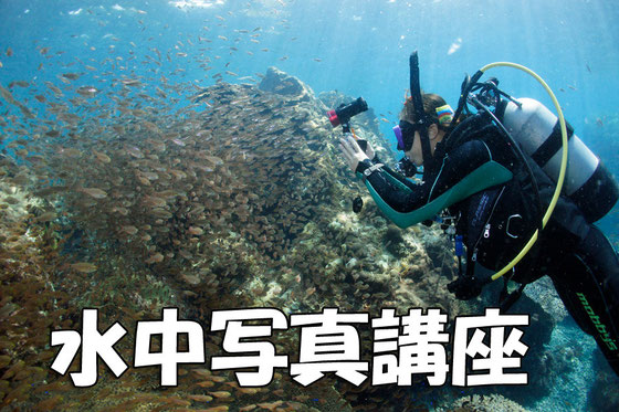 水中写真講座　イメージ写真