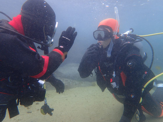 よかよか　妙見ヶ浦プロフィール水中写真