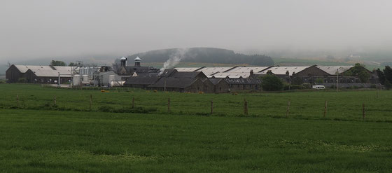 Inchgower Distillery - Foto Ralf Zindel