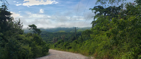 Rum aus Belize