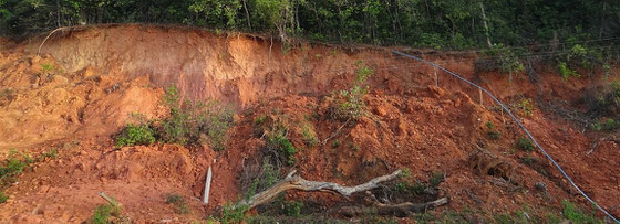 Terra Rossa Böden sind typisch für die Tropen und Subtropen