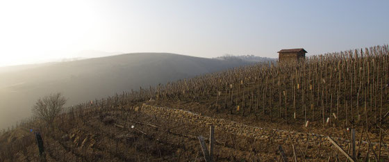 Vin Jaune - Gelber Wein aus der AOC Jura