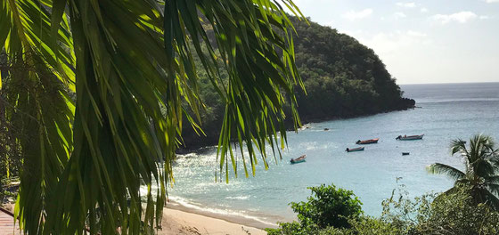 Übersee-Departement Martinique - Foto Rhum Clèment