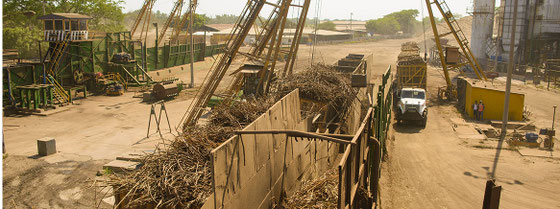 Zuckerrohrverarbeitung für Ron Flor de Caña - Photo: Ingenio San Antonio