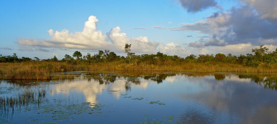Belize Rum