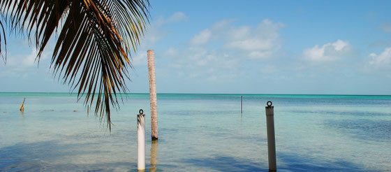 Belize - Rum aus Mittelamerika