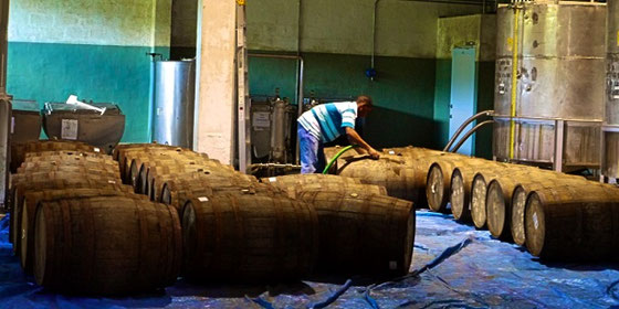 St. Lucia Distillers