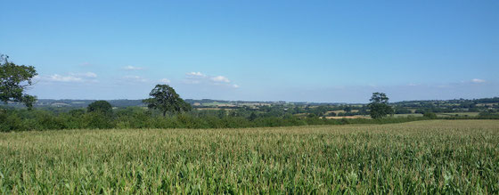 Haute Bretagne in der Nähe von Rennes