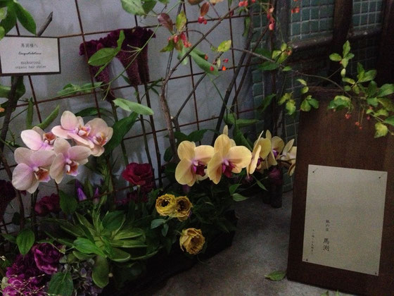 ムクロジで贈らせて頂いたお花が入り口に！