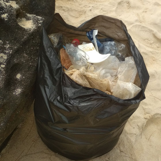 Der erste Müllsack war nach etwa 50 Metern voll