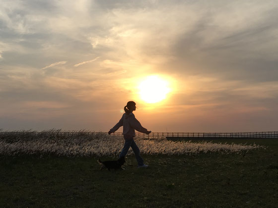 娘とクウタと夕陽