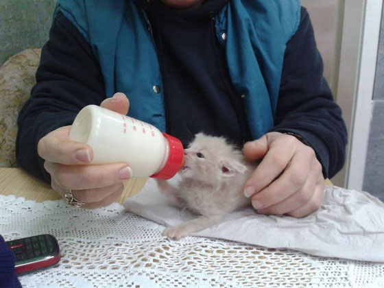 Die beiden mussten mit der Flasche aufgezogen werden