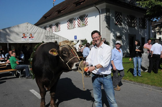 Keller mit Stier bzw. Stier mit Keller...