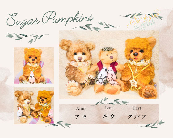 お喜びの樹の実＊New - Sugar Pumpkins テディベア オリジナル