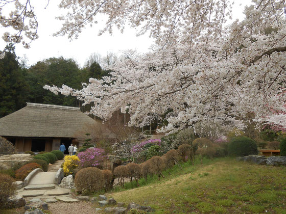 細川紙紙漉き家屋　あおい夢工房　炎と楽園のアート　ちょっと一息