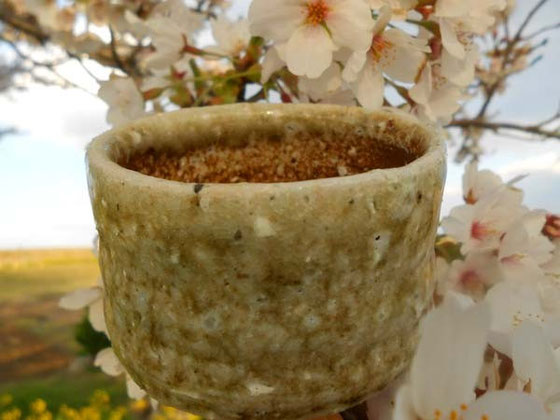 ぐい呑み　小林夢狂　Mukyo Kobayashi　あおい夢工房　炎と楽園のアート　酒の器