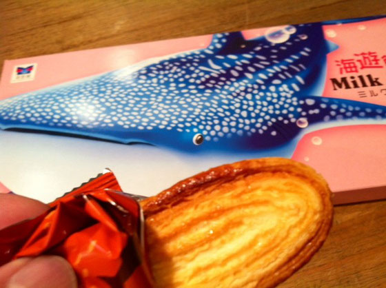 海遊館土産のパイ。　ジンベイザメをイメージしてるのか大きな箱に大量のパイが、。　いっときお茶請けに困らなそう。　お隣さんありがとー
