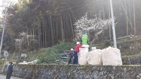 竹の切り出しと機械の置き場所確保に工夫する必要がありそうです。