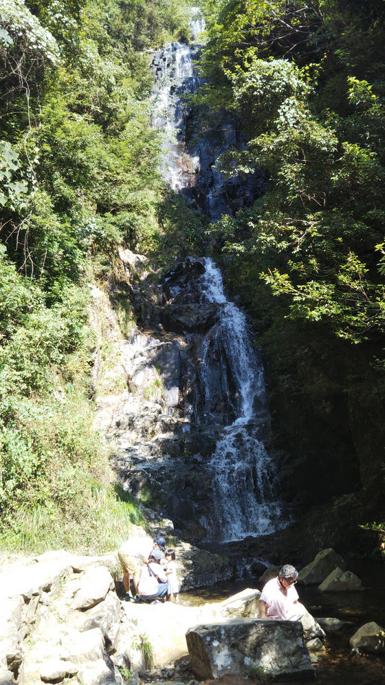 予想を上回る圧倒的景観の瀑布常清の滝