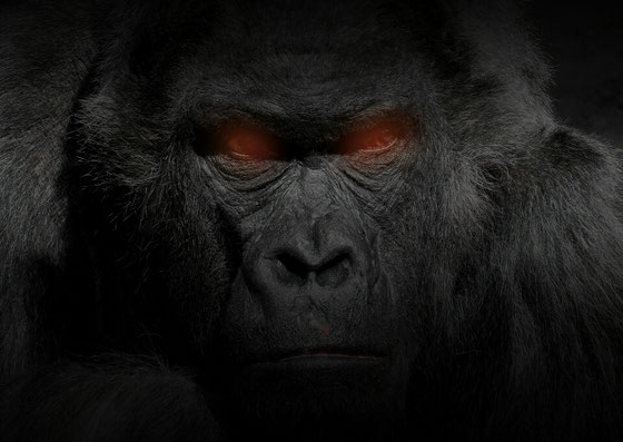 ウホホホホホホホホ Ba7mamaねっと