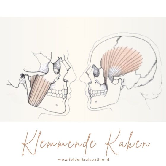 Kaakspanning door stress en emoties, met focus op Feldenkrais-oefeningen voor ontspanning en pijnverlichting