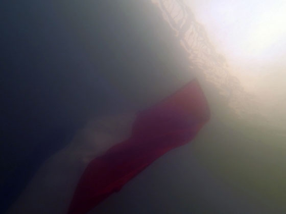 Campagne présidentielle 2017 en France : la tête sous l'eau !