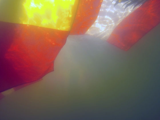 Tous ensemble pour lutter sur les dérives de notre monde contemporain : crise Grecque !