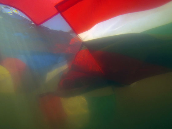 Demain c'est jamais ! Il est certainement encore temps de changer notre mode de fonctionnement : crise écologique