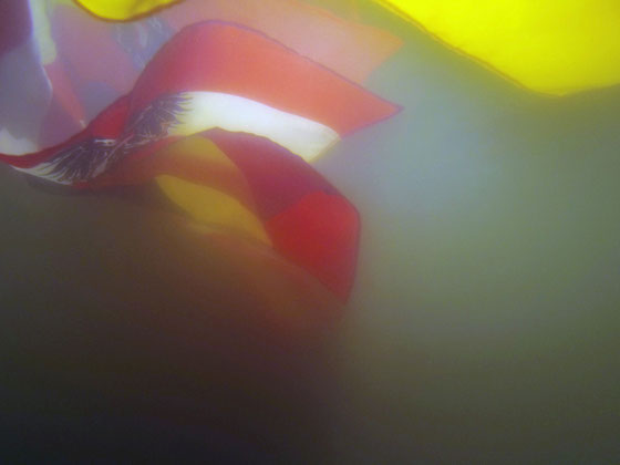 Après, demain... les changements climatiques c'est maintenant : problématique d'accès à la l'eau potable, montée des eaux ...