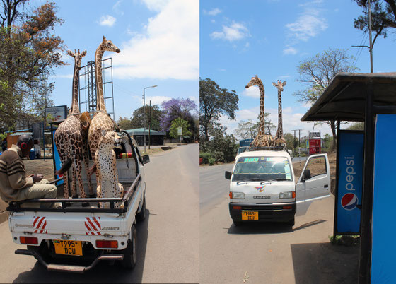 Moments de vie à Arusha