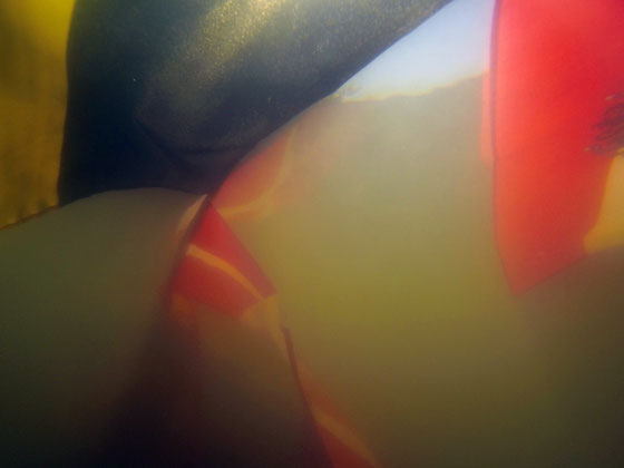 Le jour d'après il sera trop tard ! Ingénieux plans photographiques pour une série d’œuvres au service d'un art engagé