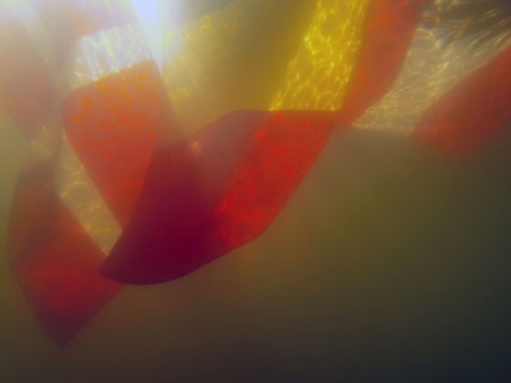 Immersion des terres habitées et déstabilisation de l'équilibre du monde : quand l'Europe fera-t-elle de la montée des eaux un axe majeur de travail ! 