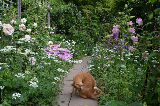 秘密の花園