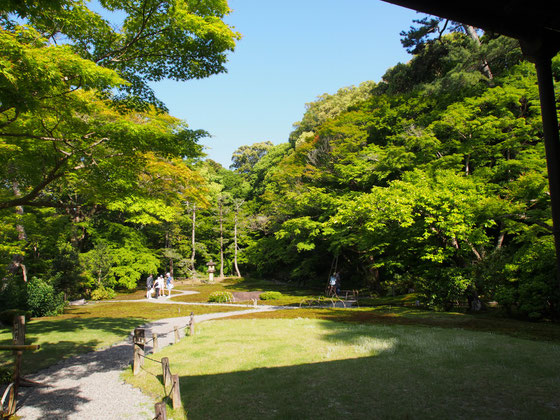 「依水園」の隣にあるもうひとつの美しい庭園　吉城園　京都観光タクシー英語通訳ガイド　永田信明 