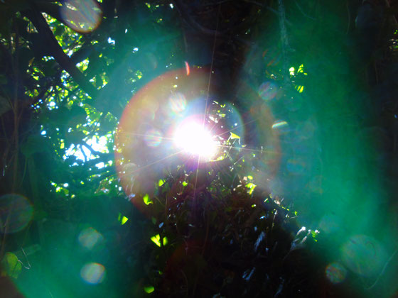 ©www.lichtwesenfotografie.com "Kraft und Macht der Heilung"