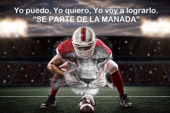 Leones guerreros
