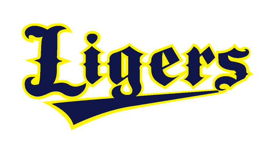 下狛ライガース