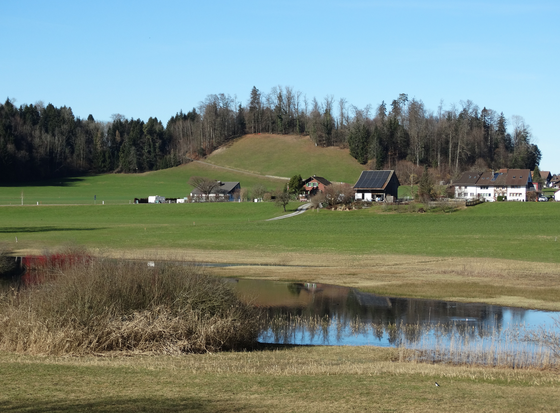 (Bild: buebikernews)