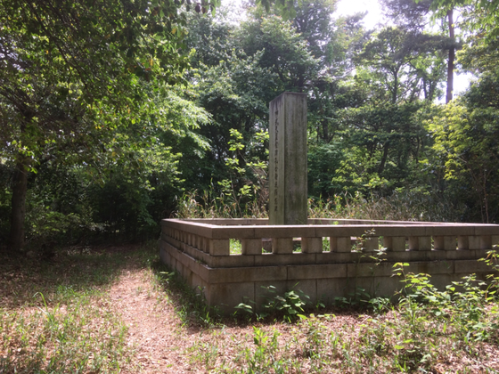 神武天皇孔舎衛坂顕彰碑(筆者撮影)