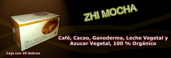 Zhi Mocha