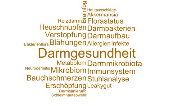 Darmaufbau, Darmsanierung, Darmbeschwerden, Reizdarm