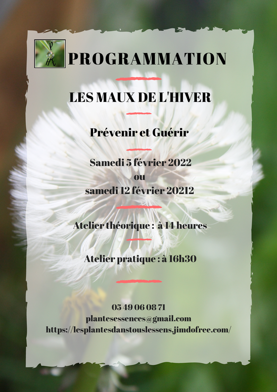 lesplantesdanstouslessens#melle#suddeuxsèvres#paysmellois#